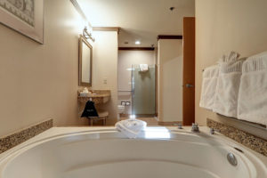 accessible guestroom bathroom and tub